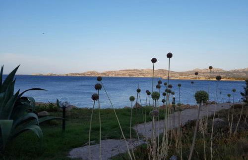 Giulianahouse - Foto 16