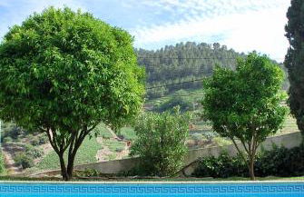 Casa de Mendiz - Foto 6