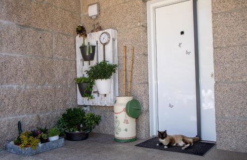 Pontevedra- A Caeira - Foto 23