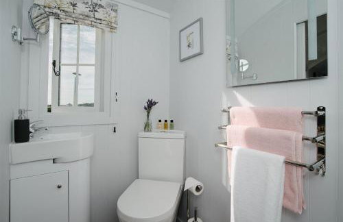 Shepherds Hut at Chenhall Farm - Photo 34