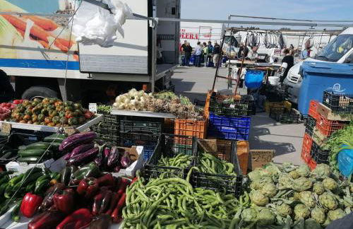 Apartamento Francisco Casanovas - Foto 79