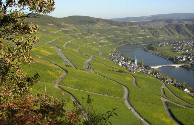 Holiday Apartment Goose in the Monument - Photo 9