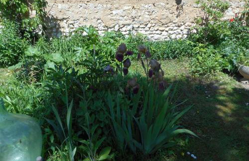 Le Gite de Lili - Foto 26