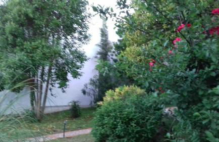 Casas de Almajar - Foto 29