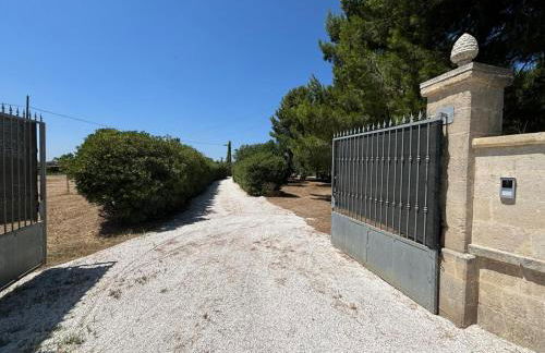 Tenuta Pizzi - Foto 35