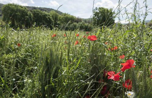 Alloggio vocabolo San Sebastiano - Foto 20