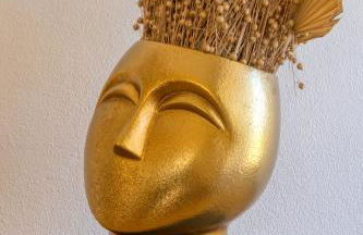 Musa do Pico - Photo 18