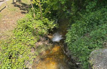Il Giardino di Sant'Eufemia - Foto 57