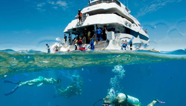 Snorkeling à Cairns