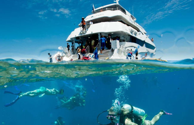 Introduction to Diving in the Great Barrier Reef - Photo 2