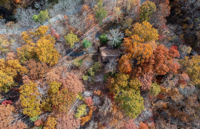 Cabin in the Trees, Hot Tub, Fire Pit - Foto 29