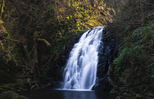 Tranquil Tides - Foto 39