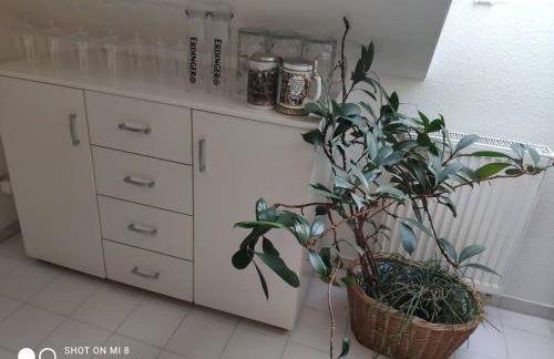 Tolle Wohnung in zentraler Lage in Neu-Ulm - Foto 8