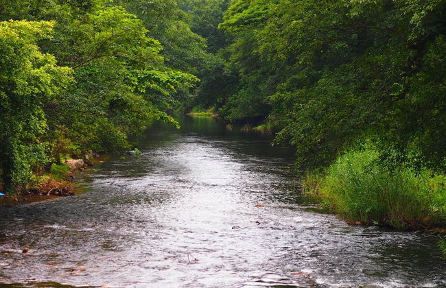 Uncle Jo Valley - Photo 17