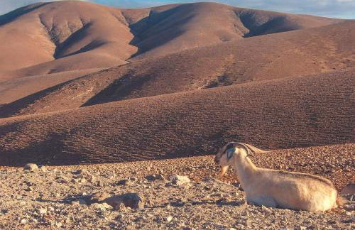 Bungalow - Fuego - Surf & Yoga Villa - Photo 31