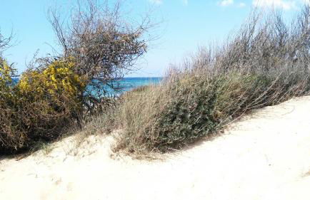 La Casa di Dario - Foto 33