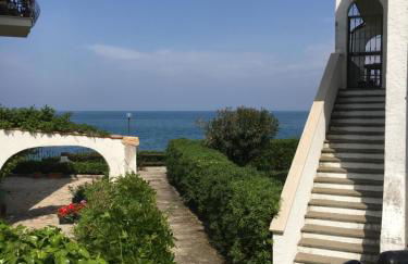 Happy Penna - Foto 41