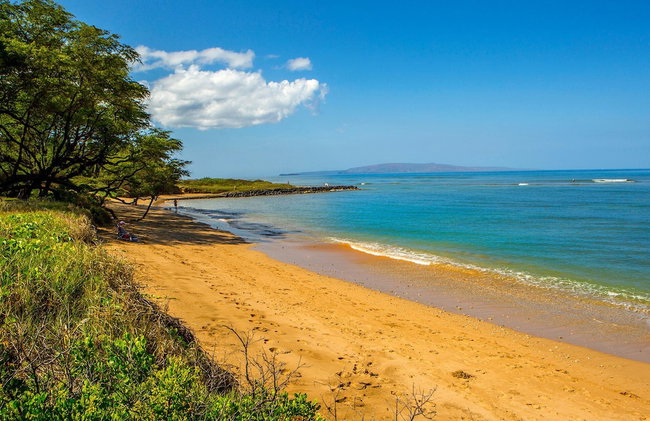 Beautiful 1 Bedroom Condo with Ocean Views | Oceanfront - Foto 112