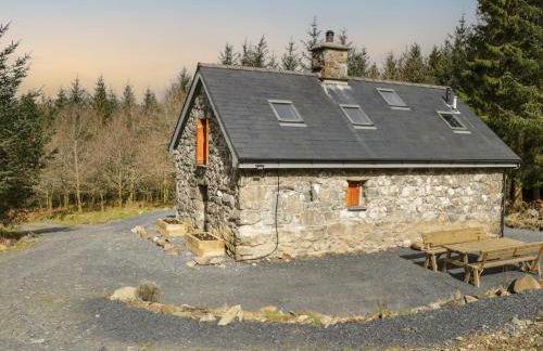 Brithgwm Canol - Foto 2