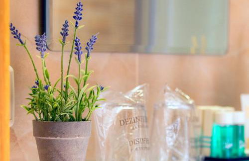 Studio apartman "DJED" - Foto 7