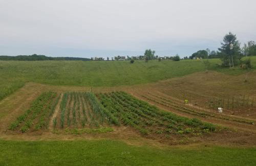 House Jelena&Marija - Foto 10