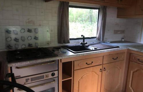 Holenderek Agro-Stajnia - Foto 10