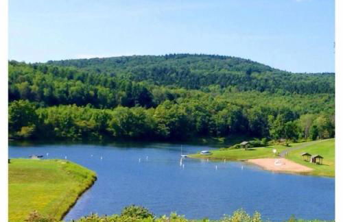 Virgil Mountain View - Photo 18