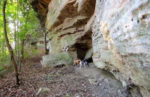 Alice Rocks - Pet Friendly, Firepit, WiFi - Foto 40