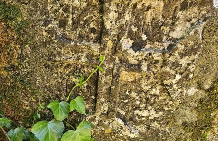 Quinta do Penedo- Refúgio de Charme e Natureza - Foto 37