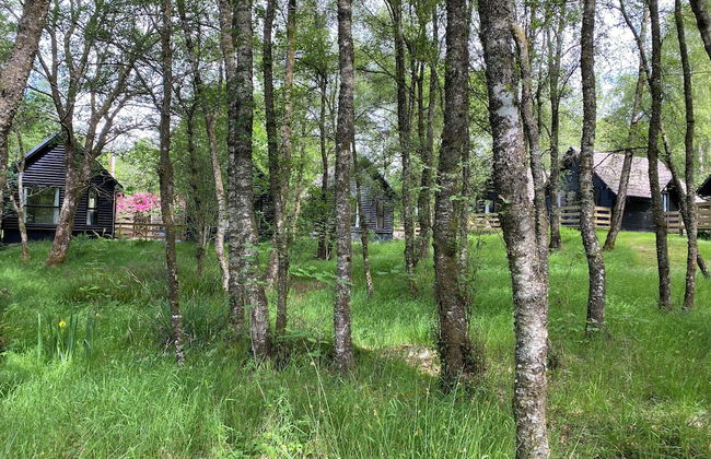 Burnbank Lodges - Foto 20