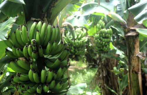 Apartamento tranquilo e acolhedor - Photo 13