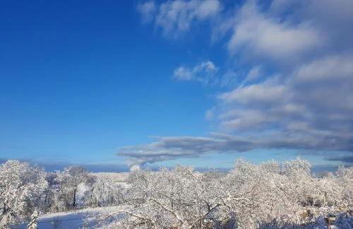 Energetischer Urlaub in der Eifel - Foto 9