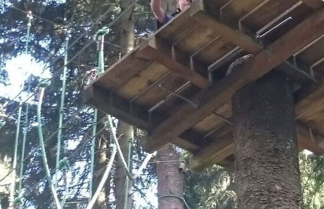 Daumler "house Am Weisswald" - Foto 32