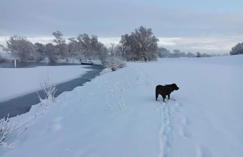 Krötenhof Barförde - Foto 62