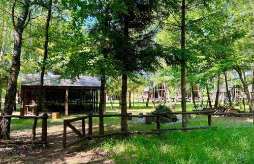 Kaszuby Camp - Foto 25