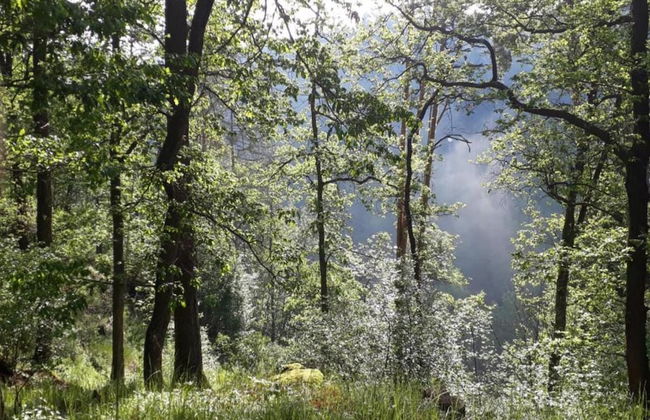 South Bohemia Family Escape - Foto 24