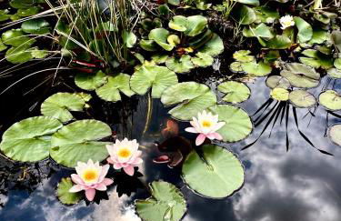 Agriturismo Poderi Zunino - Foto 74