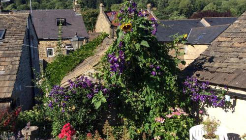 Carr’s cottage Eyam Peak District, - Foto 4, Garden