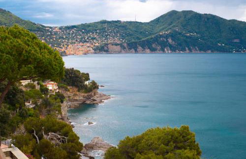 Mare Mio house on the Golfo Paradiso - Foto 24