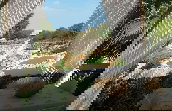 Agroturismo Biniati Des Pi - Photo 43