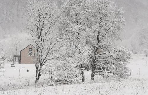 Domek Nasze Miejsce - Foto 24