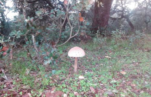 Agua de mayo - Foto 31