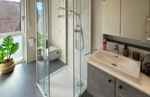 Hotel und Ferienwohnungen Nebauer - Foto 42