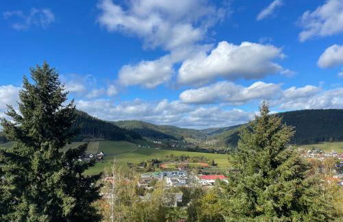 Studio Tonbachblick Baiersbronn - Photo 7