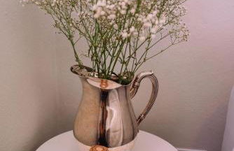 Recanto das Videiras - Casa em Vinícola - Foto 25