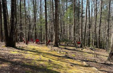 Bearly Behavin - Foto 45