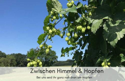 Holledau-Apartments - Auszeit im schönen Hopfenland in Bayern - voll ausgestattete Apartments - Garten - Balkon - Nähe München - Foto 47
