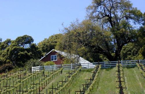 Vacation Rental with Spa and Pool on Winery near Healdsburg, California - Foto 1