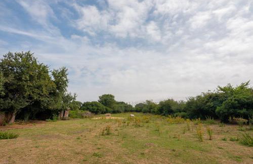 Little Wells 6 - Foto 32