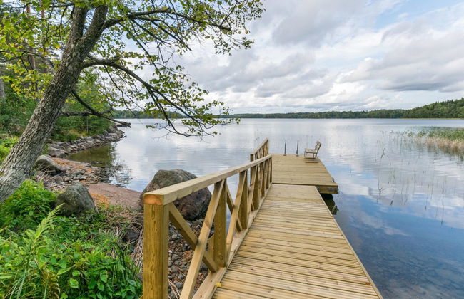 Metsä-iivari - Foto 3